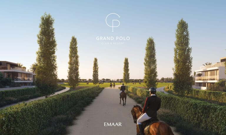 GRAND_POLO_IMAGE23
