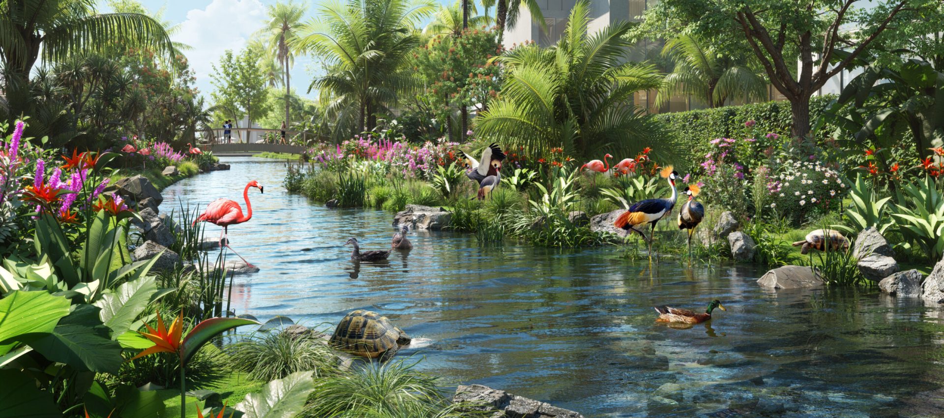 10-tortoise Garden