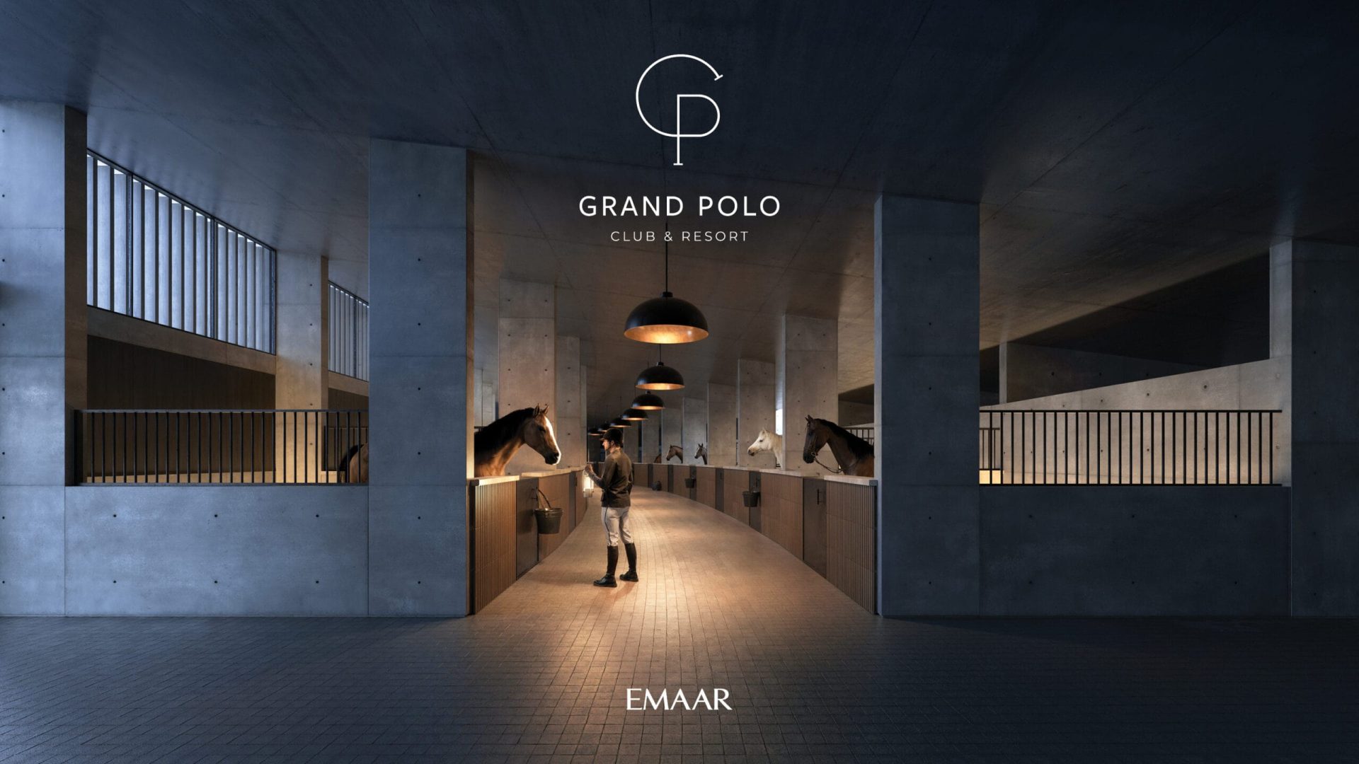GRAND_POLO_IMAGE18