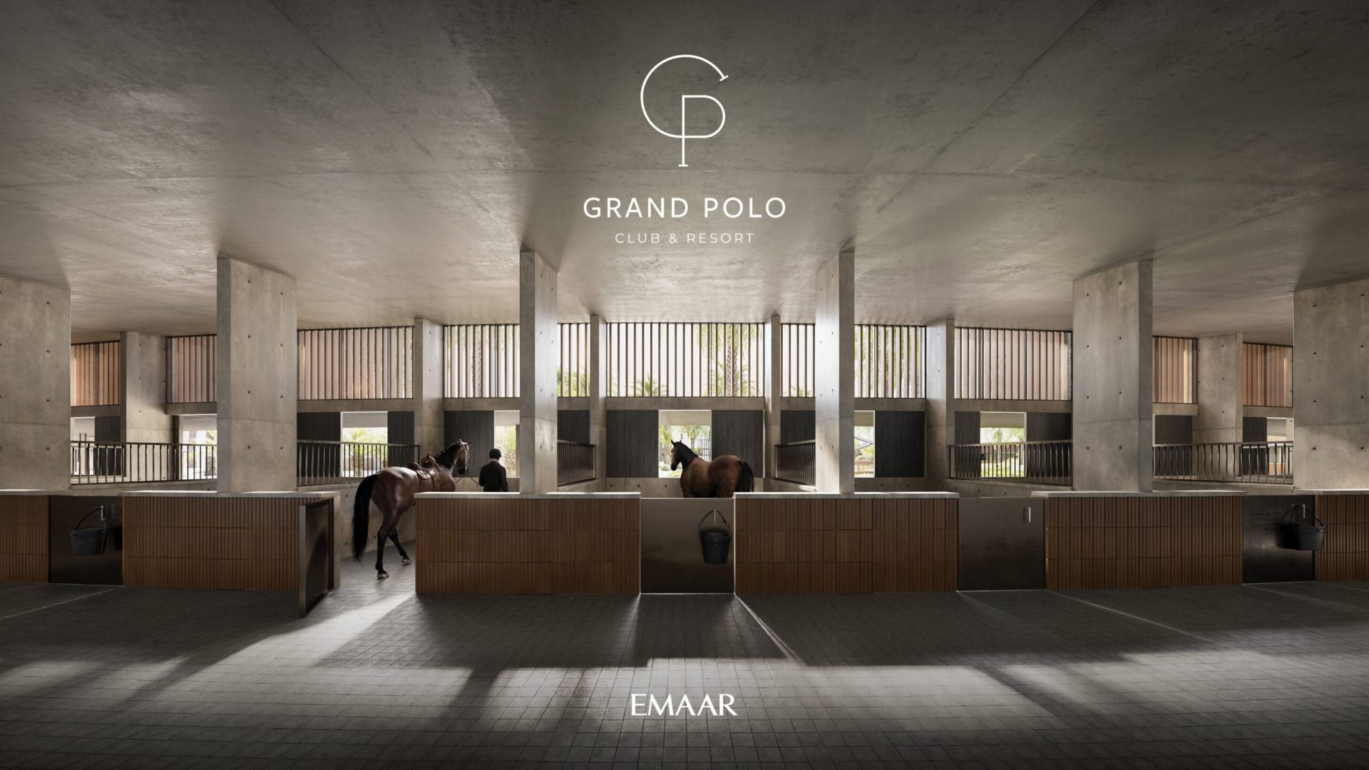 GRAND_POLO_IMAGE19