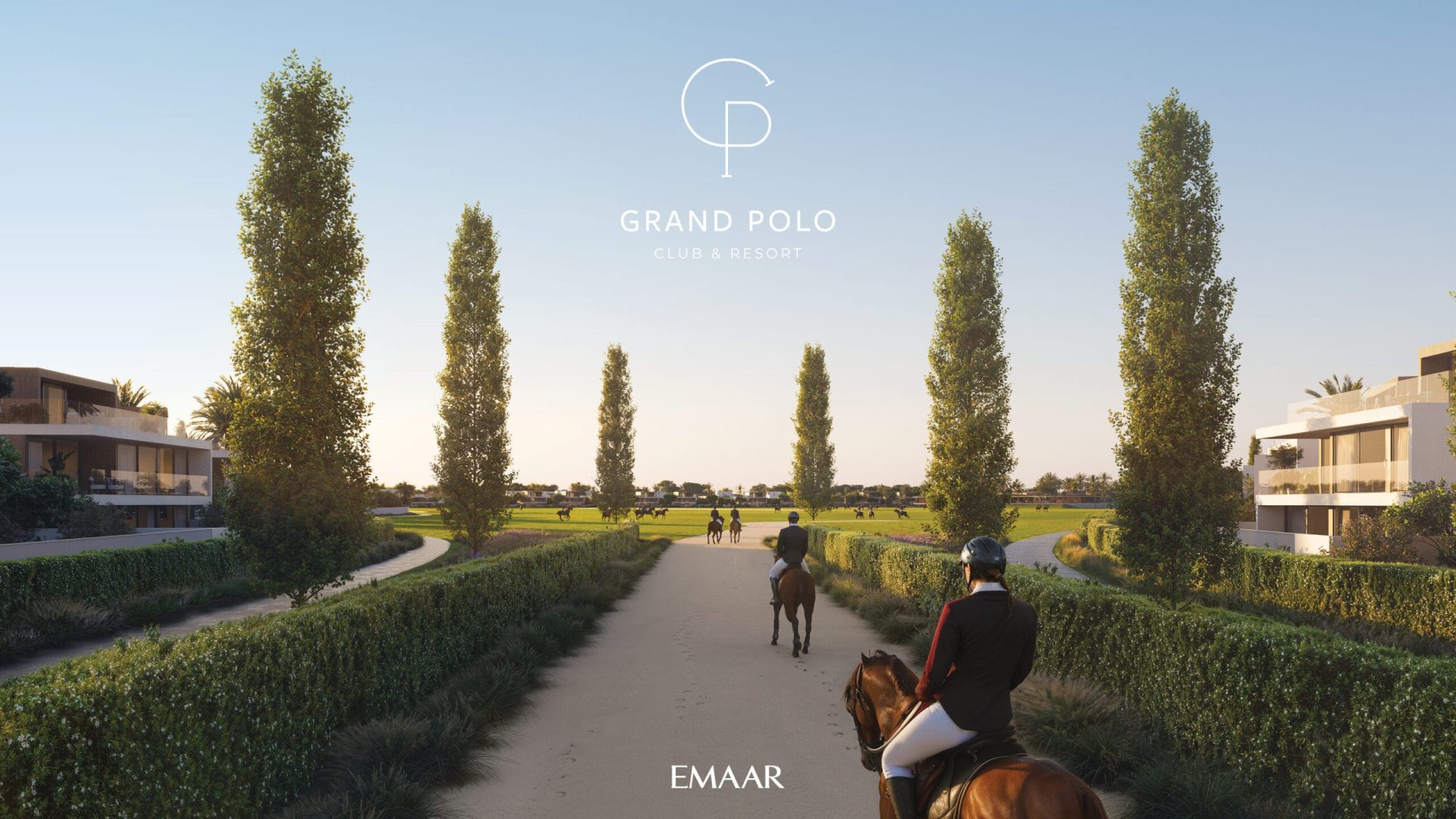 GRAND_POLO_IMAGE23